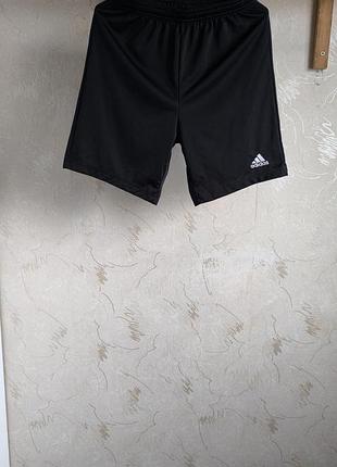 Спортивные шорты adidas