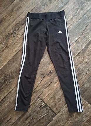 Лосини adidas