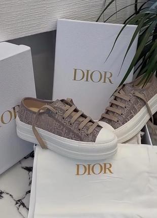 Женские кеды dior