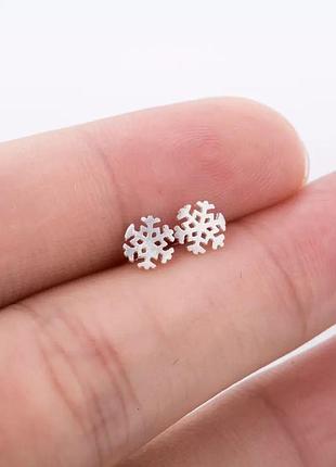 Срібло сережки гвоздики сніжинки