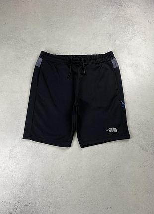 Шорти the north face