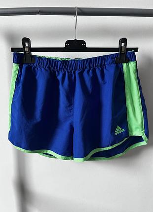 Жіночі спортивні шорти adidas