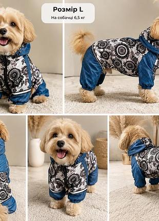Комбінезон-дощовик для собаки, розмір l 🐶💙