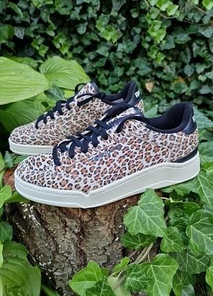 Кеди шкіряні reebok court (fy 7345) / розмір 37,5 оригінал