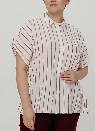 Papaya нова жіноча сорочка біла у тонку рожеву смужку великий розмір 26 5xl-9xl виконана у вільному стилі оверсайз