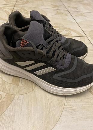 Кросівки adidas 2