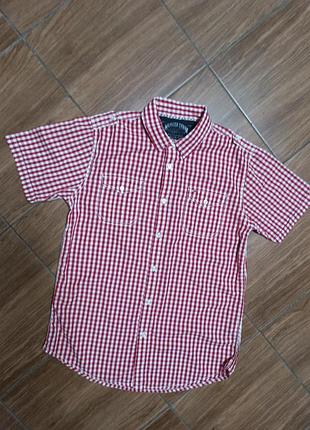 Клетчатая тенниска hilfiger l