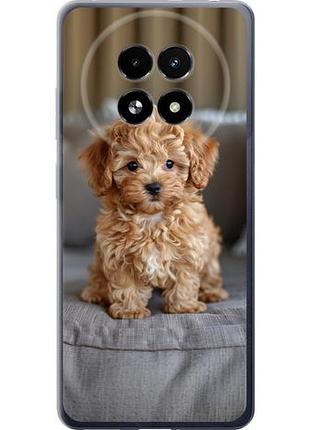 Чехол на realme 13+ 5g mini-maltipoo из силикона fch_0162556