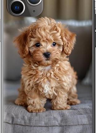 Чехол на iphone 11 pro max mini-maltipoo из пластика fch_0162442