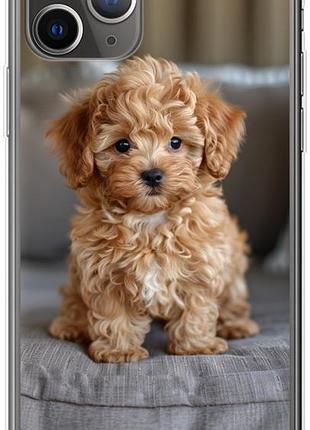 Чехол на iphone 11 pro mini-maltipoo из силикона fch_0162552