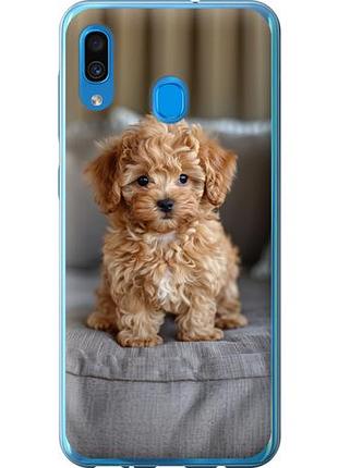Чехол на samsung galaxy a30 2019 a305f mini-maltipoo из пластика fch_0141076