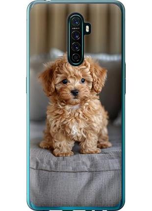 Чехол на oppo reno ace mini-maltipoo из силикона fch_0162452