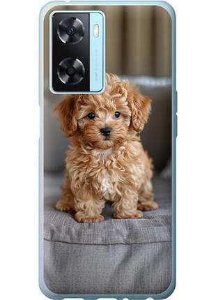 Чехол на oppo a57s mini-maltipoo из силикона fch_0162450