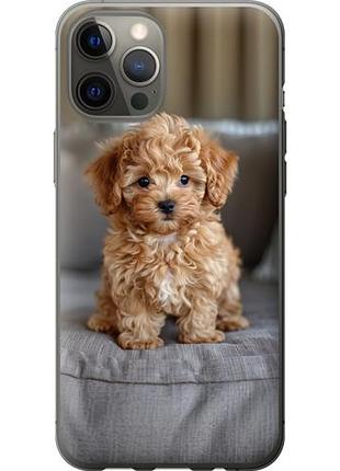 Чехол на iphone 12 pro max mini-maltipoo из пластика fch_0162445