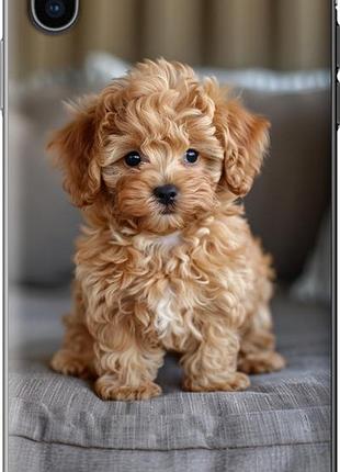 Чехол на iphone xs max mini-maltipoo из пластика fch_0162443