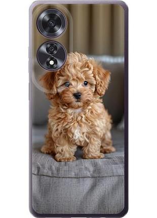 Чехол на oppo a60 4g mini-maltipoo из силикона fch_0162481