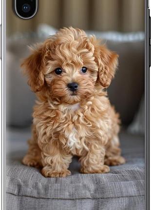 Чехол на iphone x mini-maltipoo из силикона fch_0162521