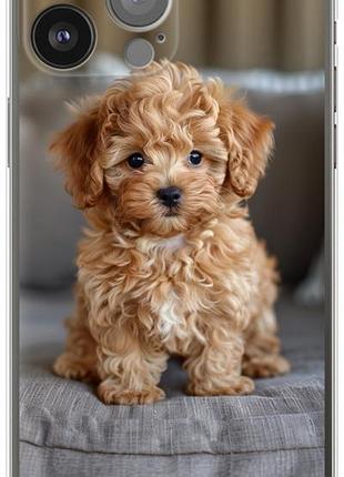 Чехол на iphone 13 pro max mini-maltipoo из силикона fch_0162465