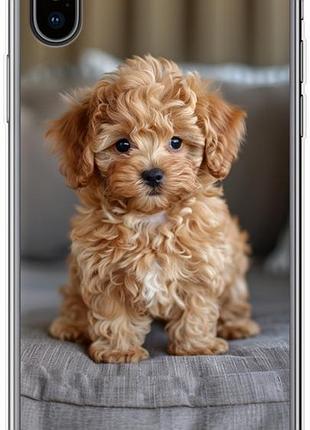 Чехол на iphone x mini-maltipoo из силикона fch_0162519