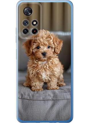 Чехол на xiaomi poco m4 pro 5g mini-maltipoo из силикона fch_0162533