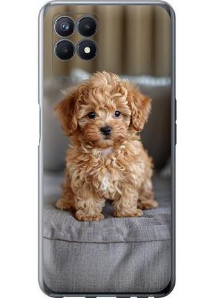 Чехол на realme narzo 50 mini-maltipoo из силикона fch_0162549