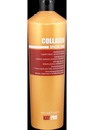 Шампунь с коллагеном для пористых и ослабленных волос kaypro collagen 1000 мл