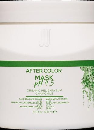 Маска для закрепления цвета jj's after color 500 мл