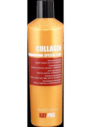 Шампунь з колагеном для пористого і ослабленого волосся kaypro collagen 350 мл