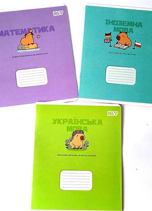 Набор предметных тетрадей yes, capybara, 24 листа, 3 вида