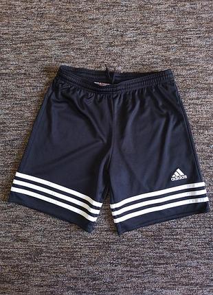 Спортивні шорти adidas вказан вік 12 років.