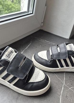 Кросівки adidas