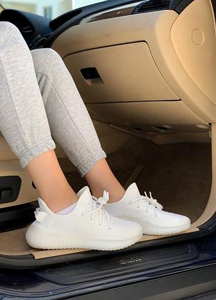 Yeezy 350 white premium 3