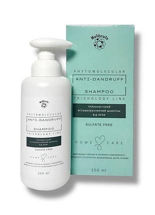Шампунь від лупи для шкіри голови molecula anti-dandruff shampoo, 250 мл