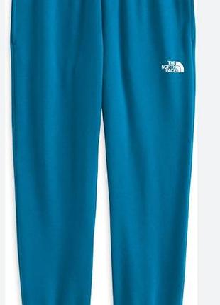 Спортивные штаны мужские the north face xxl