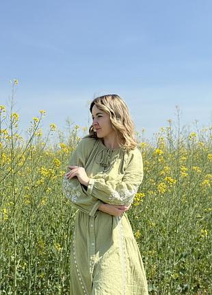 Вишита сукня zara