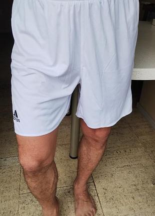 Новые мужские спортивные шорты adidas team short white xl