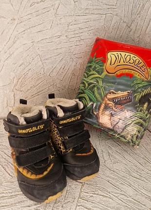 Дитячі чоботи, dinosoles, 28р., 17см