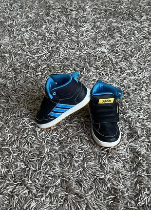 Стильні хайтопи високі кеди adidas 21 розміру