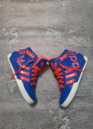 Кросівки хайтопи adidas originals hardcourt hi (big logo)