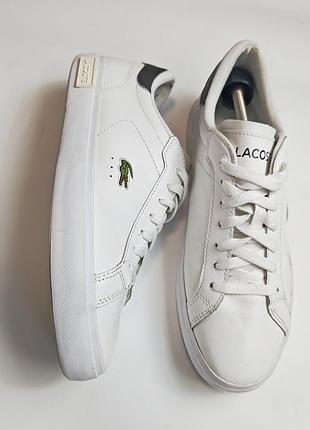 Кеды lacoste powercourt из белой кожи с вышитым крокодилом размер 42