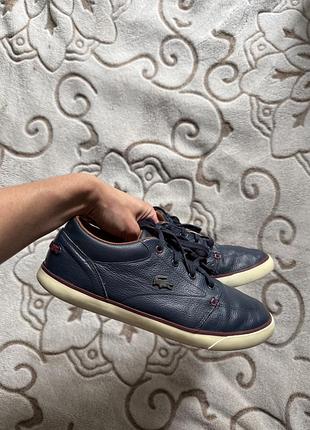 Кросівки lacoste 7