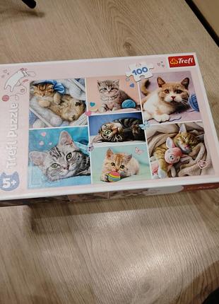 Пазли котики 5+