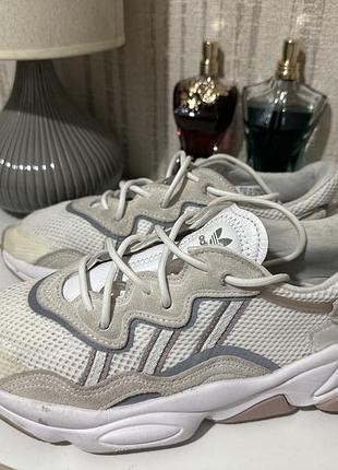 Кросівки жіночі adidas