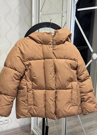 Зимова курка zara
