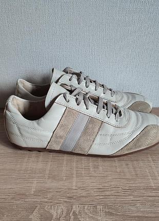 Женские кожаные кроссовки bianco 38-39р. 25.5 см.