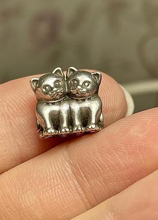 Шарм pandora коти кошенята