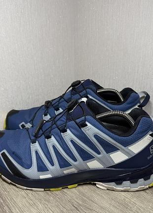 Кросівки salomon xa pro 3d v8 gtx