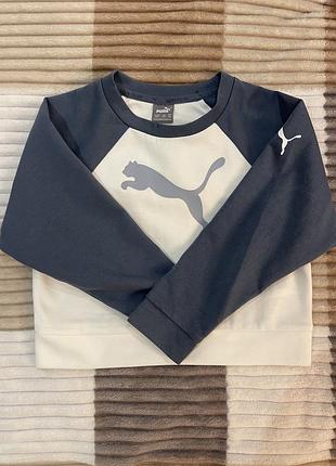 Реглани скорочен puma і zara