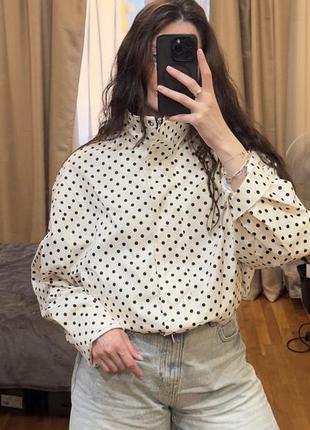 Вітровка в горошок, вітровка polka dot