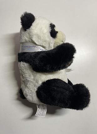 Реалістична панда 🐼 5